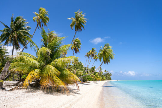 Hirifa Beach, Fakarava Atoll, French Polynesia