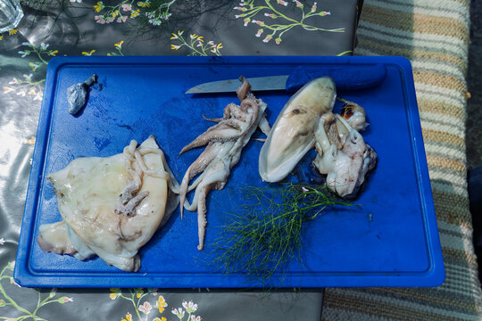 Cleaning cuttle fish