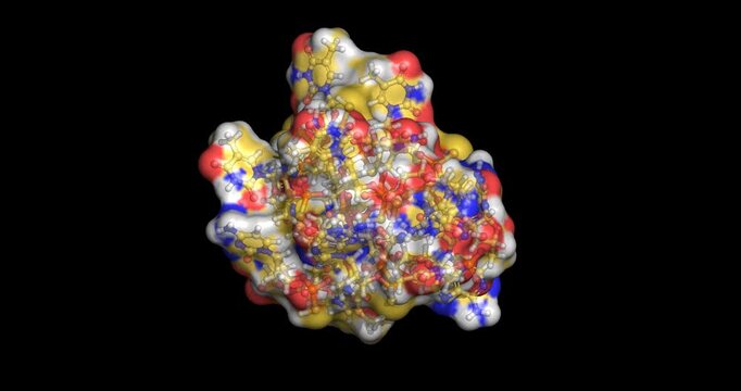 Afovirsen, antisense oligonucleotide against human papillomavirus warts and cervical dysplasia, 3D molecule spinning 4K