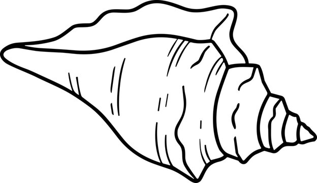 Conch Shell Drawing, Ocean Dweller, Marine Life, Seashell Silhouette