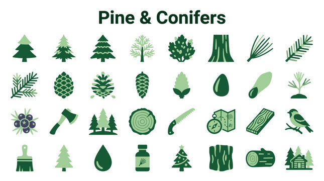 Pine and Conifer Forest Icons Set representing trees pinecones branches wood industry nature and outdoor elements