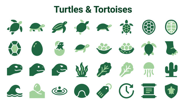 Collection of turtle and tortoise icons representing marine life reptiles and their habitat elements with nature symbols and aquatic themes