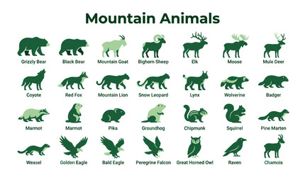 Obraz premium Collection of diverse mountain animals illustrated in a clean graphic style, showcasing wildlife found in alpine environments including mammals and birds.