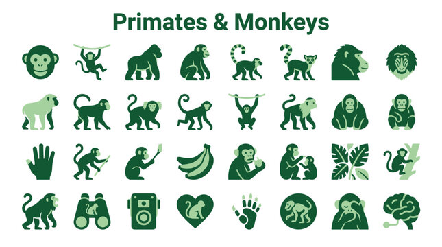 Collection of primate and monkey icons representing various species and activities in a green color palette