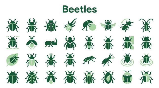 Collection of stylized beetle icons and illustrations representing diverse insect species in a clean graphic design style