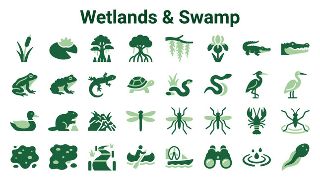 Collection of wetland and swamp ecosystem icons featuring diverse flora and fauna including plants animals water elements and recreational activities