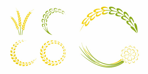 Wheat And Rice Ear Wreaths Four Vector Arrangements On White Background © Provhash
