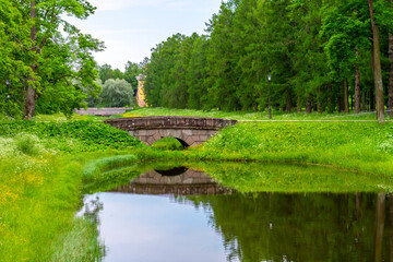 Fototapeta premium Summer Alexander Park, Pushkin (Tsarskoye Selo), St. Petersburg, Russia