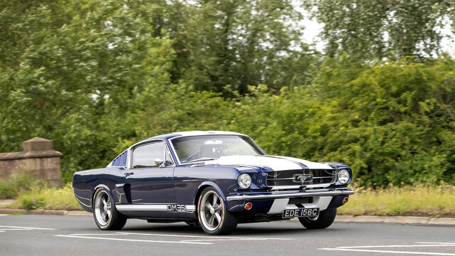 Stony Stratford,Bucks,UK - June 7th 2026: 1965 blue Ford Mustang classic American car driving on a British road