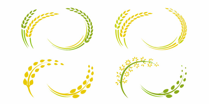 Wheat And Rice Ear Wreaths Vector Illustration Arrangements