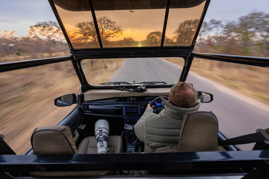 Safari game drive at sunset with open vehicle