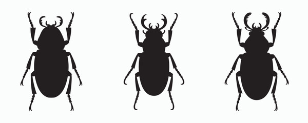 Beetle silhouette isolated on light background, detailed insect illustration featuring a crawling arthropod, ideal for nature, wildlife, entomology, and educational themes. © MD Rokib Adobe