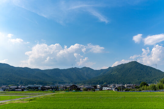 田園風景」の写真素材 | 4,266,071件の無料イラスト画像 | Adobe Stock