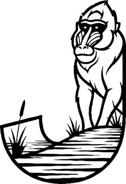 Mandril monkey sitting on a crescent moon shape.