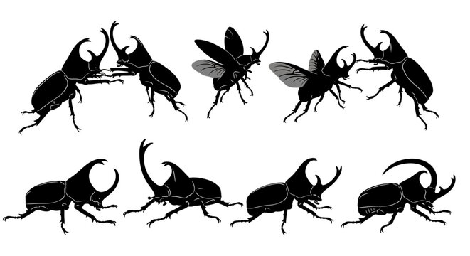 A group of seven black beetle silhouettes and one insect are shown in various poses on a plain white background with stags.