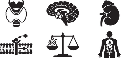 Naklejka premium Endocrinology and Thyroid Icon Set, Hormonal Balance Vector Black and White Minimalist Diabetes Healthcare Icons