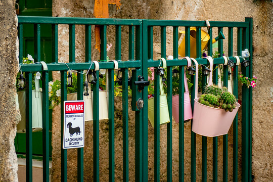 Kaktuspflanzen im Blumentopf