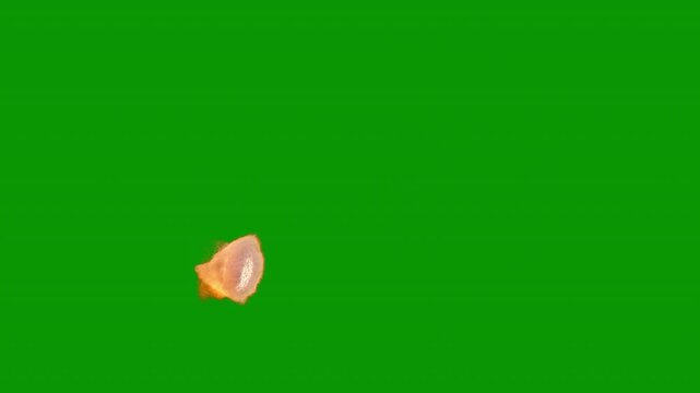 Battleship main gun cannon firing, green screen for transparent background, 2 speeds, 4k 30p