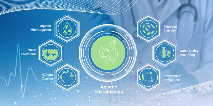 Infographic illustrating key aspects of aquatic microbiology including ecosystems water quality and microbial diversity