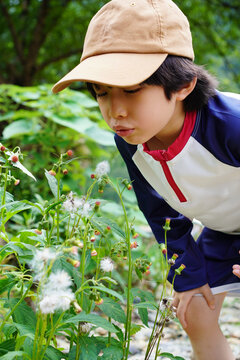 Chinese boy in the mountain meadow
