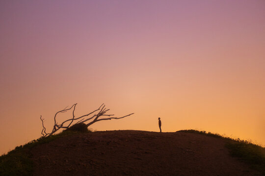 Standing Alone with The Tree