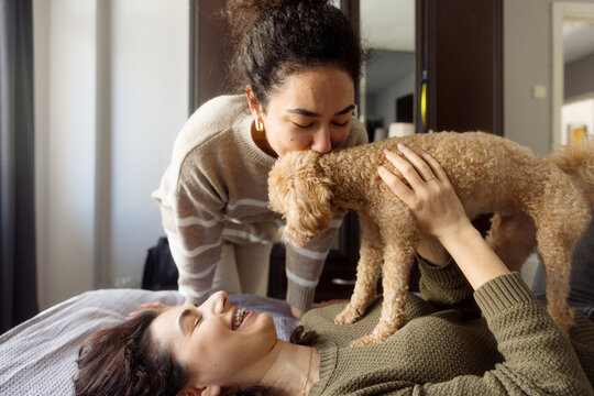 women are lying on a bed and playing with a dog