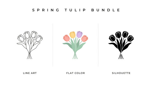 Spring tulip bundle with three different colorful flower arrangements Vector