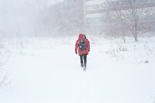 Man Walking Against Snow and Wind in Winter Landscape