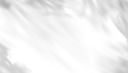 Obraz premium laves shadow on white wall background_14jun26