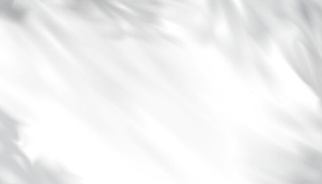 laves shadow on white wall background_14jun26