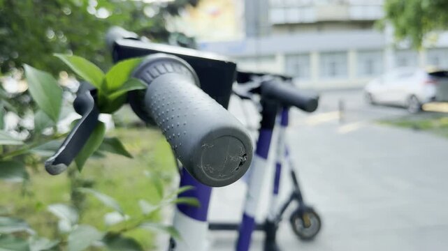 An electric scooter handlebar rests quietly near fresh green leaves on a city pathway. The peaceful morning light creates a calm and inviting atmosphere for a ride.