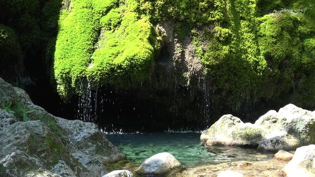 Lush Moss Covered Rock Waterfall Cave Nature Detail. Vibrant Green Mossy Rock Waterfall in Forest Cave.