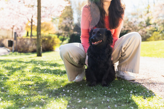 Wide view of woman and black cocker in blooming garden