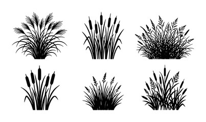 Vector Silhouettes of Cattails and Reeds, Wetland Flora Collection, Nature Elements for Design © Farzana