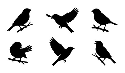 Obraz premium Set of six black bird silhouettes on branches, vector illustrations of sparrows in various poses, isolated on white background, simple graphic elements for design