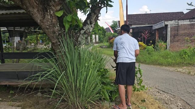 A man cuts branches off a tree with a machete in his yard and gathers the leaves