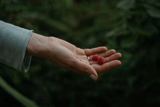 Natural lifestyle scene with hand