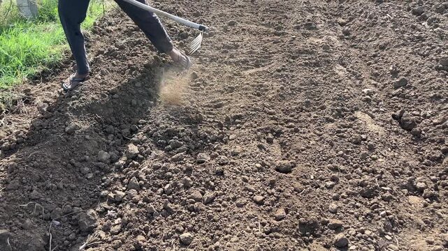 A farmer using a hand hoe to till and prepare fertile soil in an agricultural field