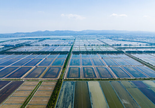  Aerial view of vast aquaculture pond fields in rural China