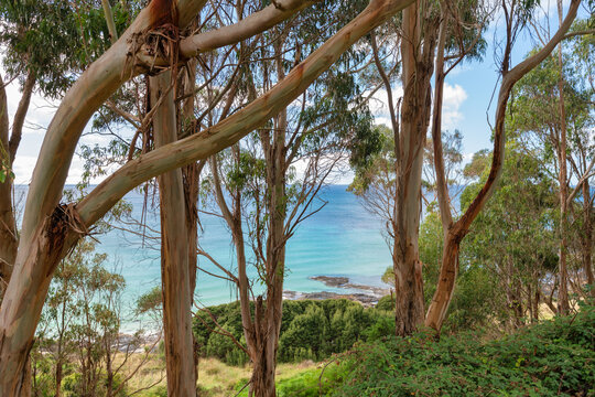 Lookout post at Boat Harbour Beach Tasmania 