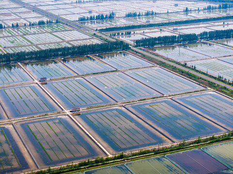  Aerial view of vast aquaculture pond fields in rural China