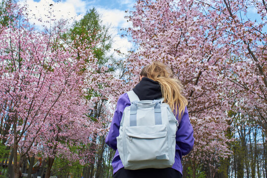 Back of a woman with backpack during spring blossom