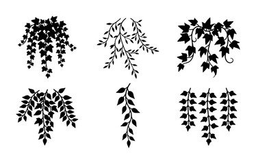 Obraz premium Black Silhouette Botanical Elements, Hanging Vine and Leaf Sprays, Decorative Floral Accents, Vector Illustrations for Design