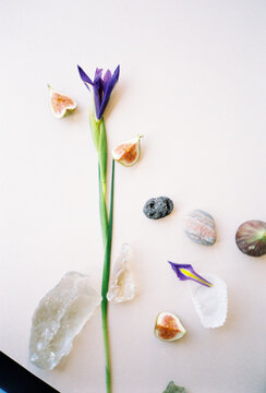 Flat Lay of Iris Flower, Sliced Figs and Crystals on White Surface