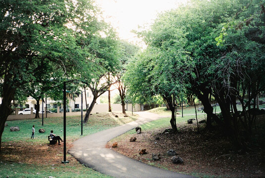 People resting in urban tropical park
