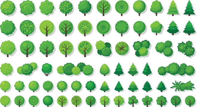 Set of various green trees top view for landscape design and architectural plan isolated on white background