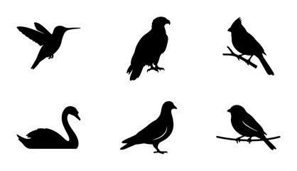 Obraz premium Vector Silhouettes of Six Diverse Birds: Hummingbird, Eagle, Cardinal, Swan, Dove, Sparrow, Graphic Icons for Nature and Wildlife Designs