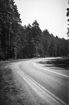 Forest Road Bend