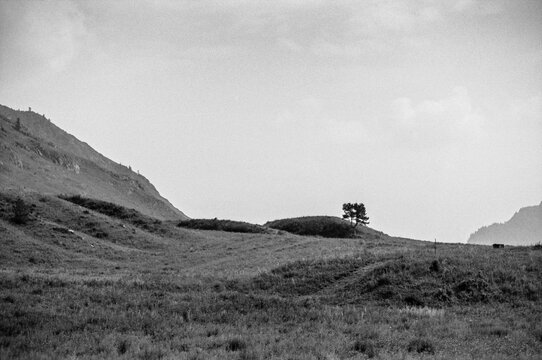 Road to Mountain Houses