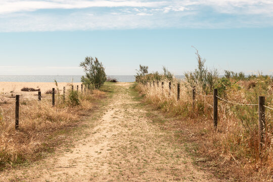 Sandy path